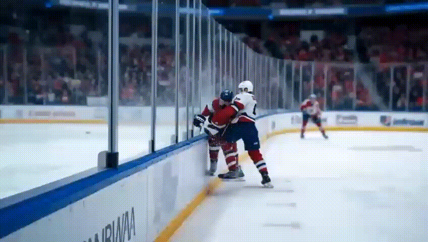 protection facility in Ice rink