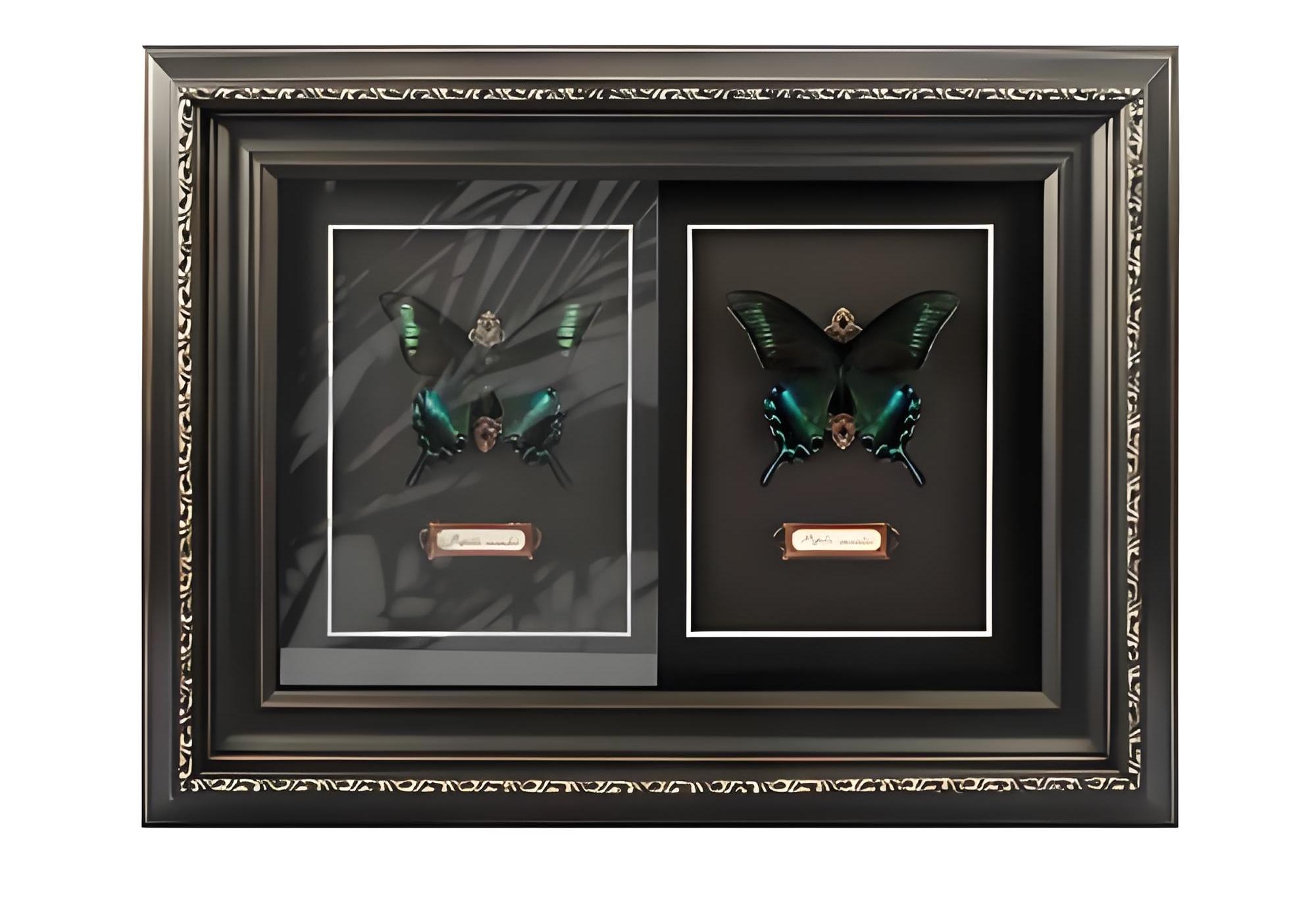 Anti Reflective Acrylic