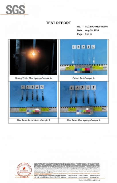 SGS Testing Report of Fire Resistant Polycarbonate (5)